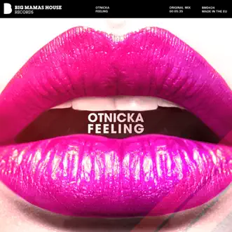 Feeling - Single by Otnicka album reviews, ratings, credits