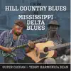 From Hill Country to Mississippi Delta Blues album lyrics, reviews, download