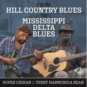Terry Harmonica Bean - Leaving Blues