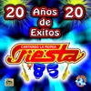 20 Años de Éxitos