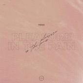 Pleasure in the Pain (Radio Edit) artwork