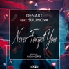 Never Forget You (feat. Sulimova) - Single