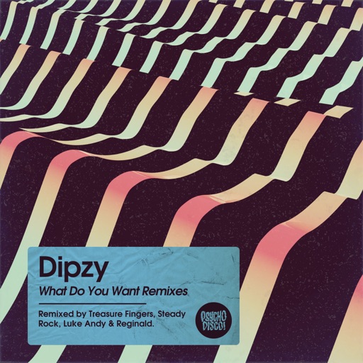 What Do You Want (Remixes) - EP by Dipzy