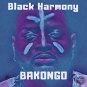 Bakongo artwork