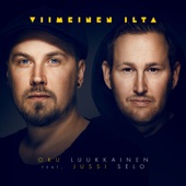 Viimeinen Ilta (feat. Jussi Selo) artwork