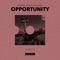 Opportunity (Extended Mix) artwork