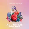 All on Me (PHZES Remix) song lyrics