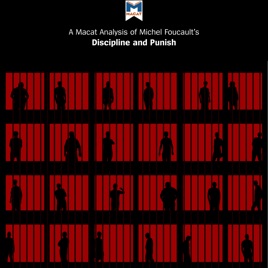 A Macat Analysis Of Michel Foucaults Discipline And Punish - 