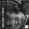 Seguido y Seco - Single