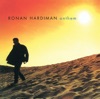 Ronan Hardiman - That Place in Your Heart