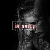 I'm Sorry artwork