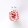Lover / Earth Angel - Single album lyrics, reviews, download