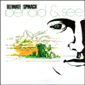 Ultimate Spinach - Jazz Thing