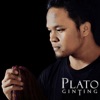 Plato Ginting, 2015