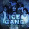 IceGang (feat. Shaman & Warrior) - Single album lyrics, reviews, download