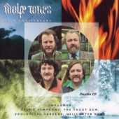 The Wolfe Tones - The Big Strong Man