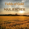 Fields of Gold - Single