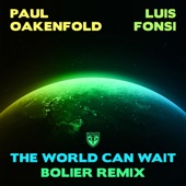 The World Can Wait (Bolier Remix) artwork