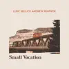 Small Vacation album lyrics, reviews, download