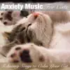 Anxiety Music for Cats: Relaxing Songs to Calm Your Cat album lyrics, reviews, download