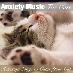 Anxiety Music for Cats: Relaxing Songs to Calm Your Cat by RelaxMyCat, Relax My Kitten, Cat Music Dreams & Pet Music Therapy album reviews, ratings, credits