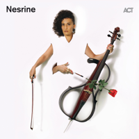 Nesrine - Nesrine artwork