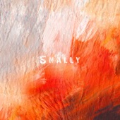 5Nally - EP artwork