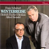 Winterreise, D.911: 10. Rast artwork