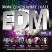 Now That's What I Call EDM 2014, Vol. 2 artwork