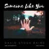 Someone Like You (feat. Danny) - Single album lyrics, reviews, download