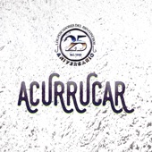 Acurrucar artwork