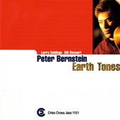 Peter Bernstein, Larry Goldings, Bill Stewart - Metamorphosis