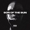 Son of the Sun