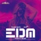 DJ Bring the Noize (Extended Mix) - Geo da Silva & Fizo Faouez lyrics