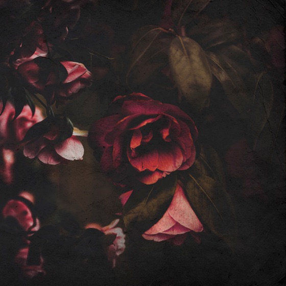 Cover artwork for Flowers