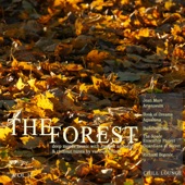 The Forest Chill Lounge, Vol. 17 (Deep Moods Music with Smooth Ambient & Chillout Tunes) artwork