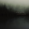 Long Quiet (Bare Piano), 2020