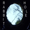 Rabbit Hole - Single