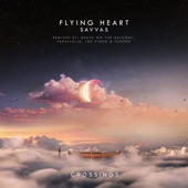 Flying Heart (Parallells Remix) artwork