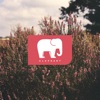 Elephant - EP
