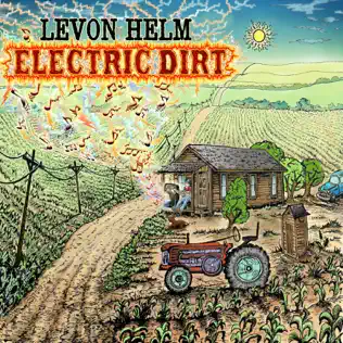 baixar álbum Levon Helm - Electric Dirt