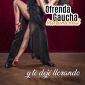 Ofrenda Gaucha: Y Te Dejé Llorando (Instrumental) artwork