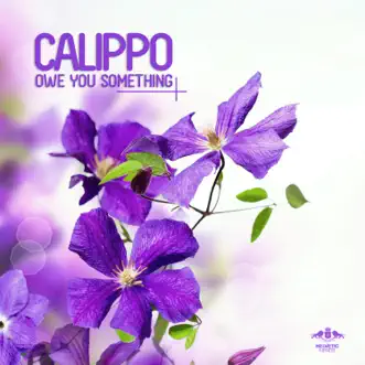 How's Your Body by Calippo song reviws