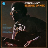 O'Donel Levy - We've Only Just Begun