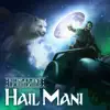 Stream & download Hail Máni - Single