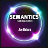 Semantics (Sam Inglis Remix) - Single