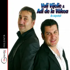De Nepretuit (Priceless) by Vali Vijelie & Adi De La Valcea album reviews, ratings, credits
