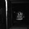 Rikm - December 31 2020