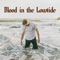 Blood in the Lowtide - Jackson Breit lyrics
