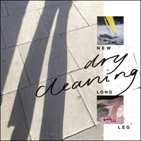 Dry Cleaning - New Long Leg artwork